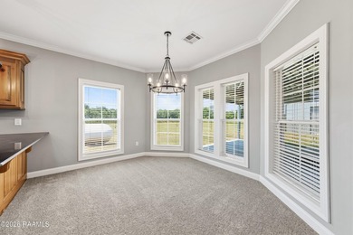 Country living at its finest -- this spacious home offers room - photo 33