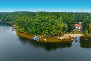 Ultimate Pure Michigan Lakefront Retreat on Chief Lake! Escape - photo 41