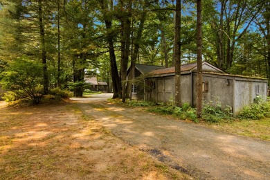Ultimate Pure Michigan Lakefront Retreat on Chief Lake! Escape - photo 44