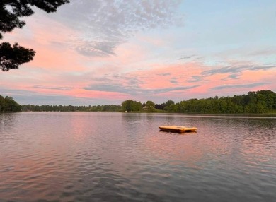 Ultimate Pure Michigan Lakefront Retreat on Chief Lake! Escape - photo 46