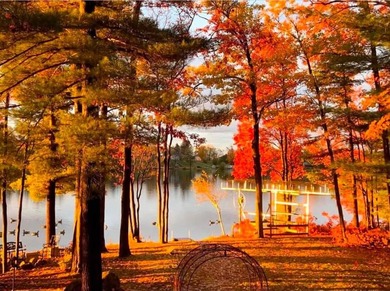 Ultimate Pure Michigan Lakefront Retreat on Chief Lake! Escape - photo 49