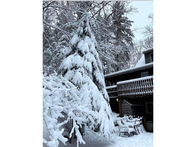 Ultimate Pure Michigan Lakefront Retreat on Chief Lake! Escape - photo 50