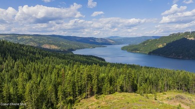 Spectacular private quiet lot on the west breaks of the Dworshak - photo 4