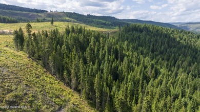 Spectacular private quiet lot on the west breaks of the Dworshak - photo 8