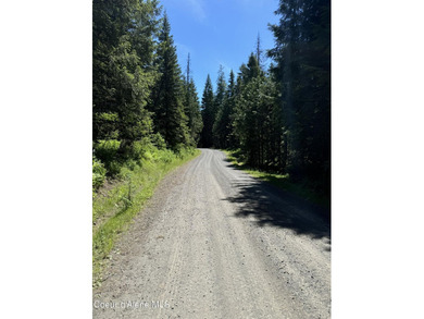 Spectacular private quiet lot on the west breaks of the Dworshak - photo 10