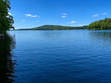 LONG POND~Experience lakefront living in this exceptional - photo 4