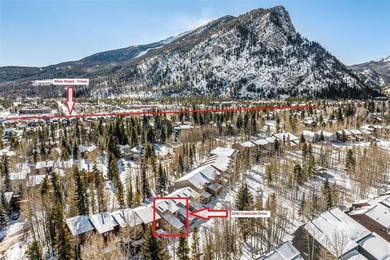 Dillon Reservoir Townhome/Townhouse For Sale in Frisco Colorado