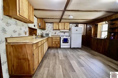 **Unique Lakeside Retreat in Kuttawa!** Discover one of the most - photo 19