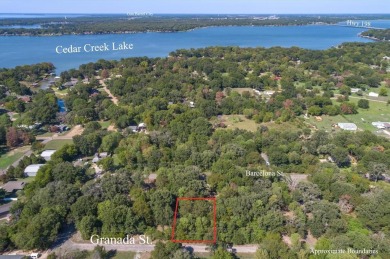 Cedar Creek Lake Lot For Sale in Payne Springs Texas