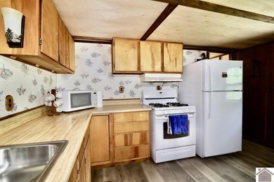 **Unique Lakeside Retreat in Kuttawa!** Discover one of the most - photo 21