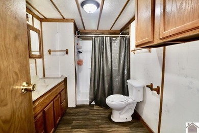 **Unique Lakeside Retreat in Kuttawa!** Discover one of the most - photo 28