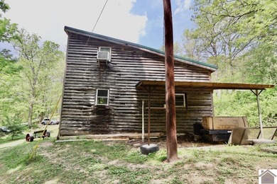 **Unique Lakeside Retreat in Kuttawa!** Discover one of the most - photo 40