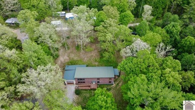 **Unique Lakeside Retreat in Kuttawa!** Discover one of the most - photo 43