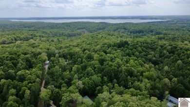 **Unique Lakeside Retreat in Kuttawa!** Discover one of the most - photo 45