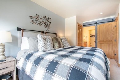 Amazing, beautiful two-bedroom condo in the Copper Springs Lodge - photo 8
