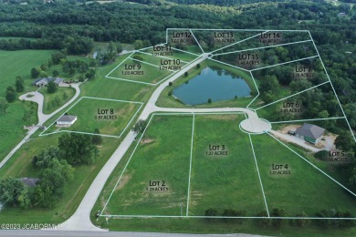 (private lake, pond, creek) Lot For Sale in Holts Summit Missouri