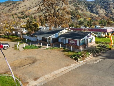 Clear Lake Commercial For Sale in Nice California