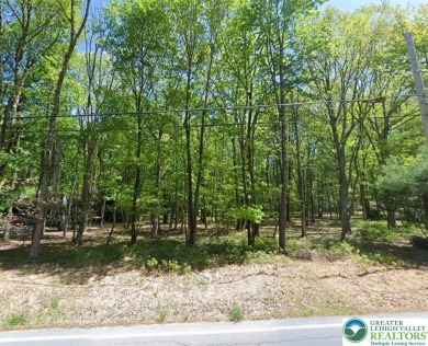 Towamensing Trails Lake Lot For Sale in Penn Forest Twp Pennsylvania