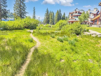Don't miss out on one of the premiere condominium units in the - photo 30