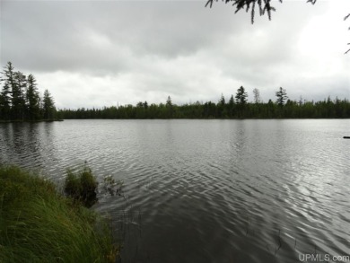 (private lake, pond, creek) Acreage For Sale in Tilden-WI Michigan