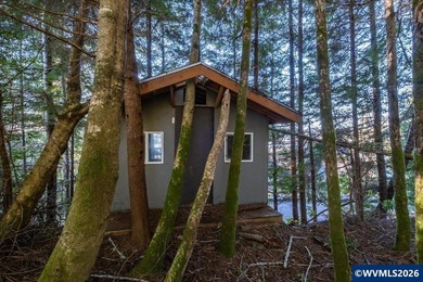 Lakefront living on Devils Lake with approximately 100' of - photo 44