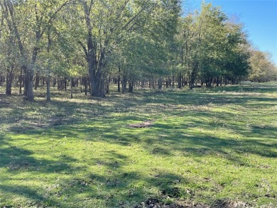 100 acres near Cooper Lake State Park w/river frontage! - Lake Acreage For Sale in Commerce, Texas