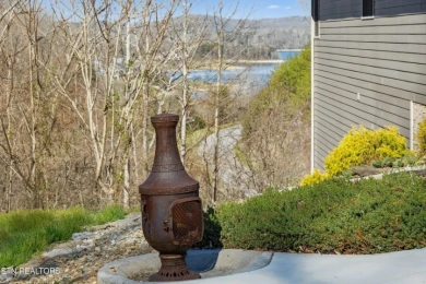 Lake View Home on Norris Lake - photo 27