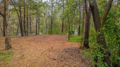 Beautiful lot located just off the golf course in the highly - photo 11