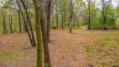 Beautiful lot located just off the golf course in the highly - photo 13