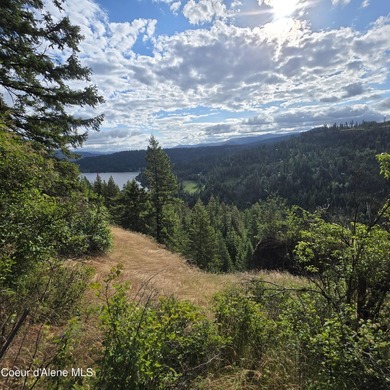 One of the nicest 20-acre parcels on Harrison Flats offers a - photo 1