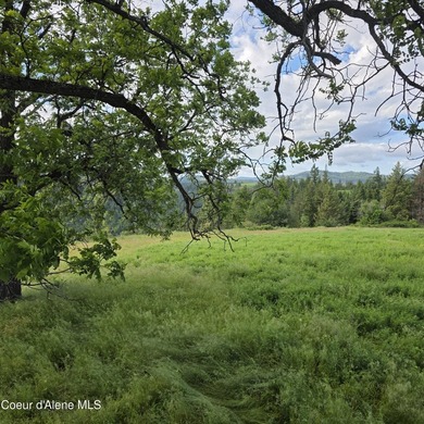 One of the nicest 20-acre parcels on Harrison Flats offers a - photo 3