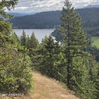 One of the nicest 20-acre parcels on Harrison Flats offers a - photo 5