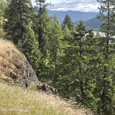 One of the nicest 20-acre parcels on Harrison Flats offers a - photo 8