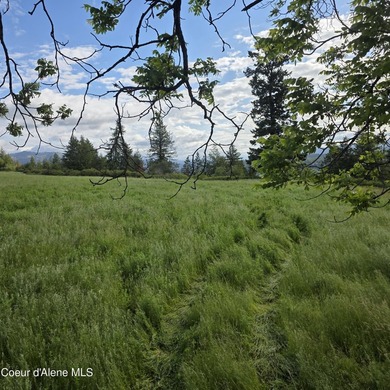 One of the nicest 20-acre parcels on Harrison Flats offers a - photo 10