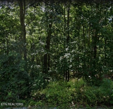 Lake Lot For Sale in Crossville, Tennessee