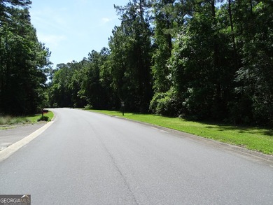 Build your coastal dream home on this spacious 1.46-acre - photo 5