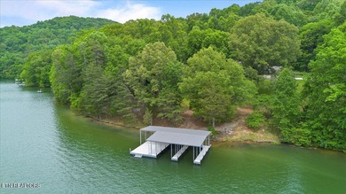 ACREAGE on NORRIS LAKE with over 350' of shoreline - photo 45