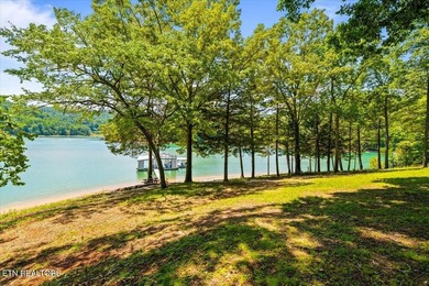 ACREAGE on NORRIS LAKE with over 350' of shoreline - photo 50