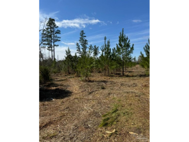 Lake Acreage For Sale in Marianna, Florida