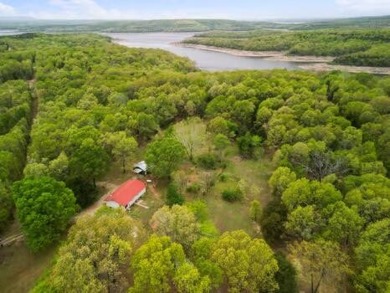 Bull Shoals Lake Home For Sale in Theodosia Arkansas