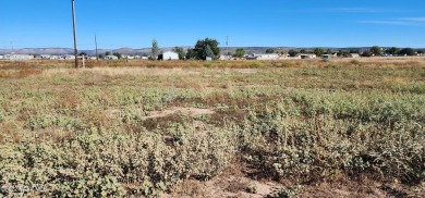 Holiday Lake  Lot For Sale in Paulden Arizona