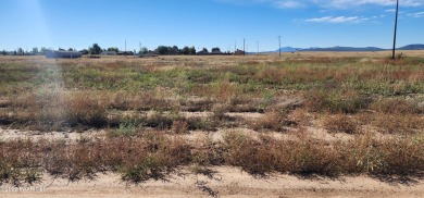 Holiday Lake  Lot For Sale in Paulden Arizona