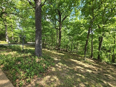 PRICE REDUCED on this TRUE TENNESSEE NATURAL BEAUTY ON 10 Acres! - photo 43