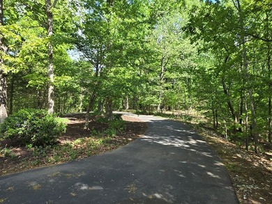PRICE REDUCED on this TRUE TENNESSEE NATURAL BEAUTY ON 10 Acres! - photo 44