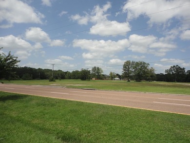 13.14 +/- acres located on Highway 90 has a bulk head on the - photo 1