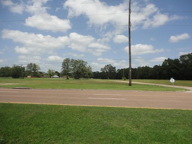 13.14 +/- acres located on Highway 90 has a bulk head on the - photo 2
