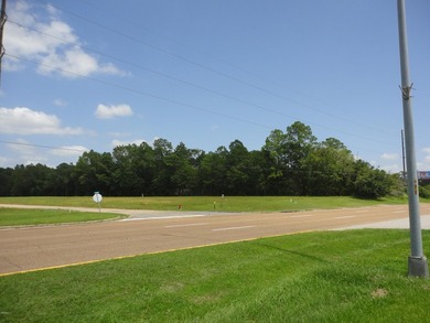 13.14 +/- acres located on Highway 90 has a bulk head on the - photo 3