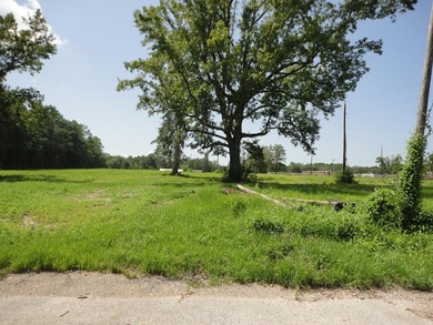 13.14 +/- acres located on Highway 90 has a bulk head on the - photo 7