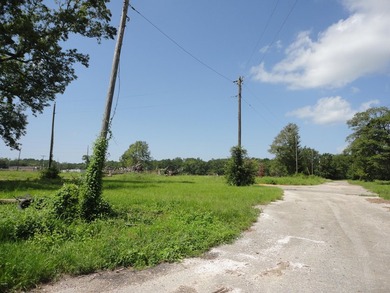 13.14 +/- acres located on Highway 90 has a bulk head on the - photo 8