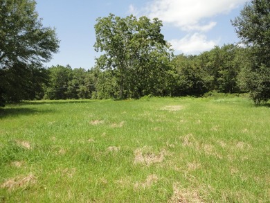 13.14 +/- acres located on Highway 90 has a bulk head on the - photo 9